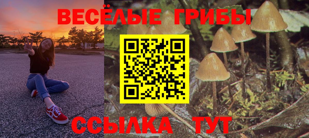 Галлюциногенные грибы мухоморы  Вход с VPN  купить  сайты  Сургут  Галлюциногенные грибы мухоморы 