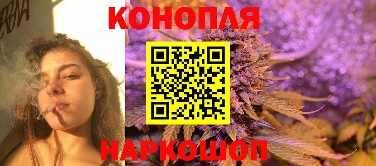 Шишки марихуана планчик Сургут